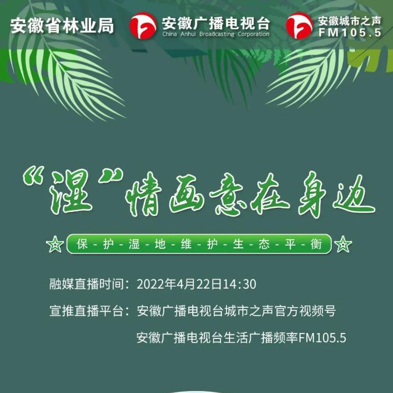 “湿”情画意在身边